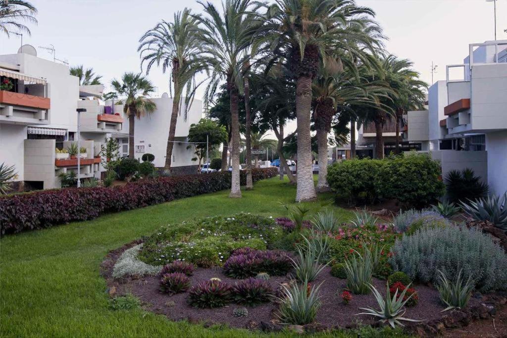 Tenerife Primavera Arona  Buitenkant foto